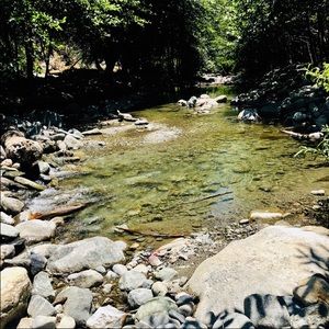 Meet your Posher, Annie